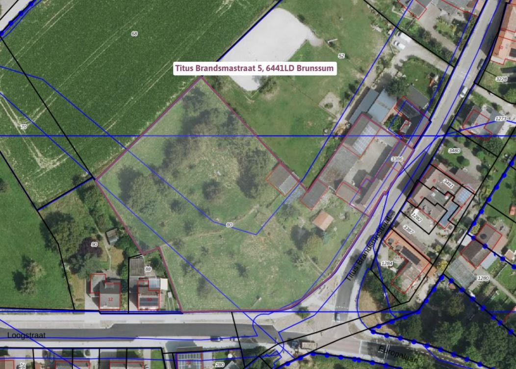 Foto 34 van Titus Brandsmastraat 5