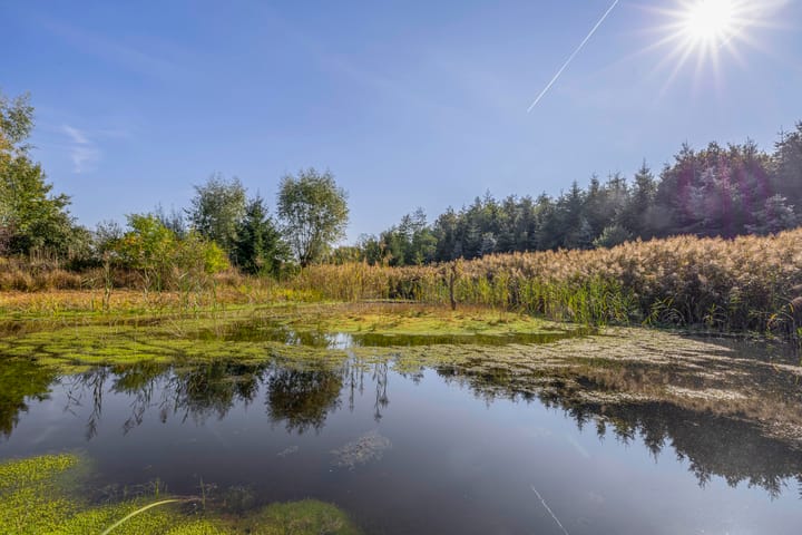 Foto 3 van Saardijk 11