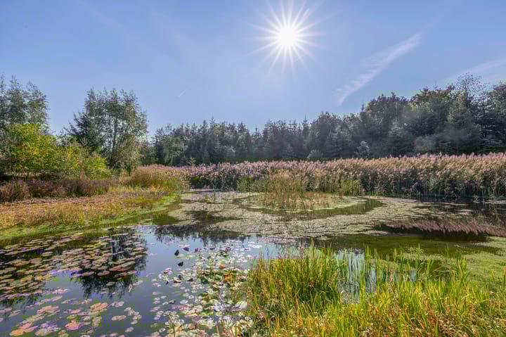 Foto 5 van Saardijk 11