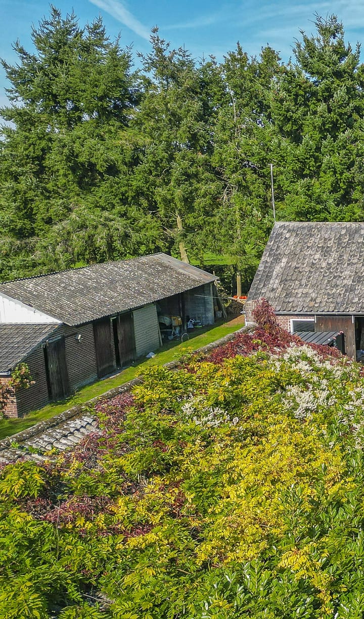 Foto 21 van Saardijk 11