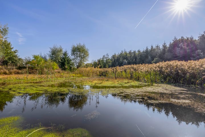 Foto 24 van Saardijk 11