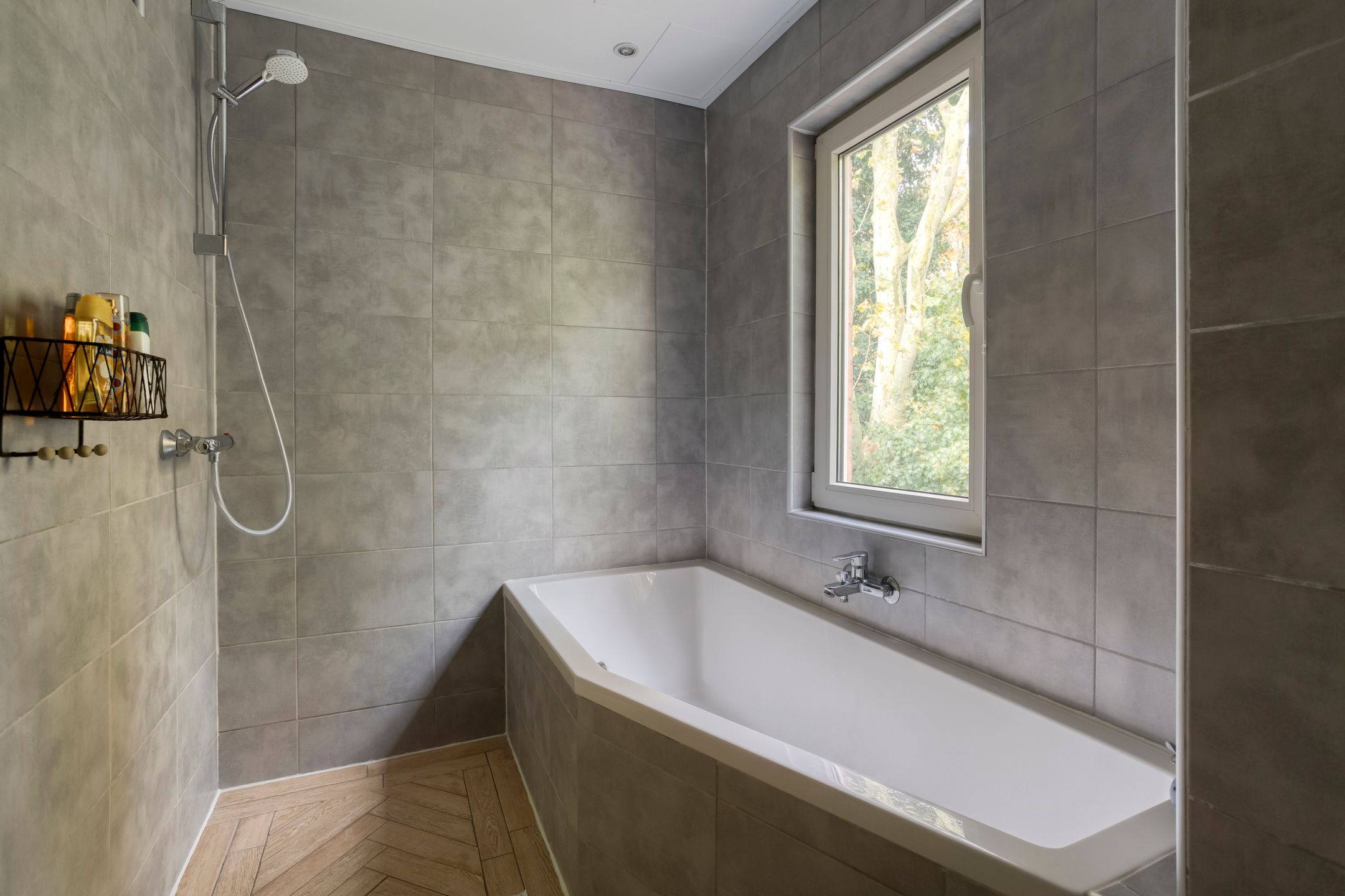 Foto 24 van Laan van de Iemenhees 574