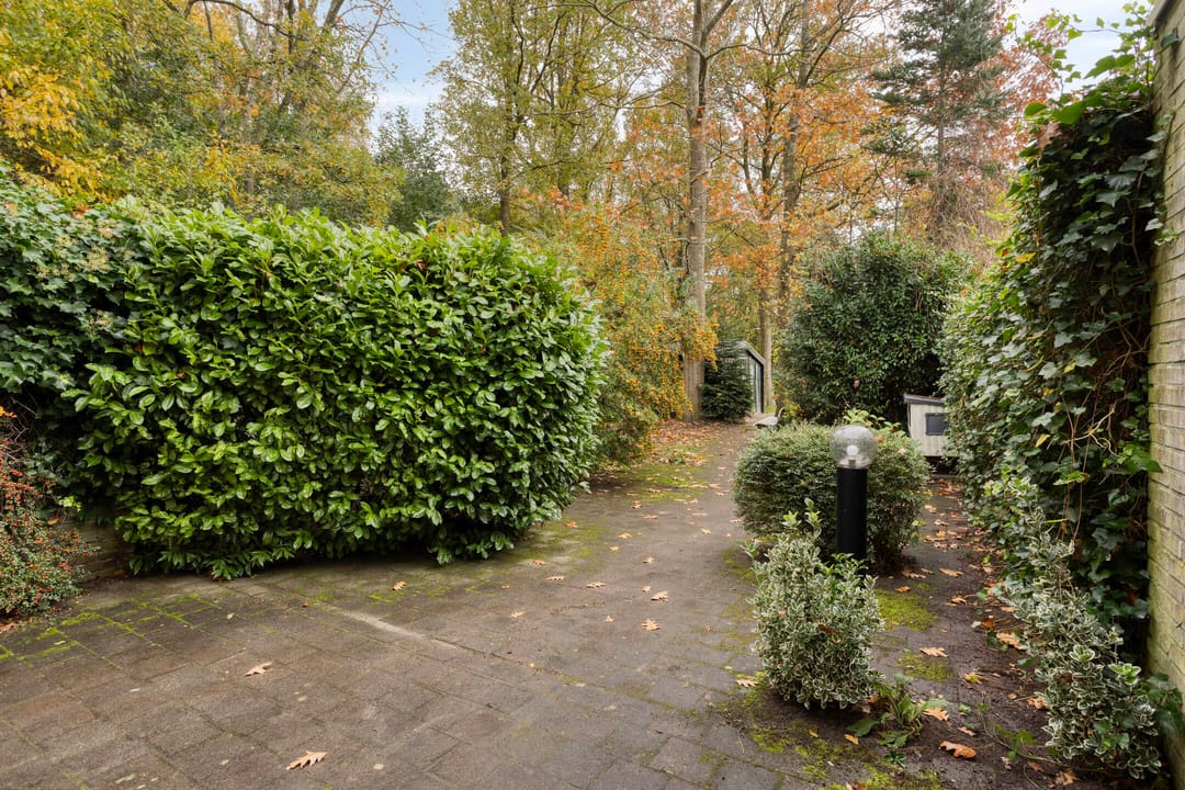 Foto 46 van Laan van de Iemenhees 574