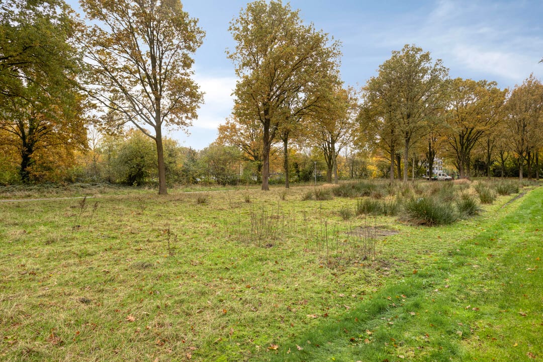 Foto 58 van Laan van de Iemenhees 574