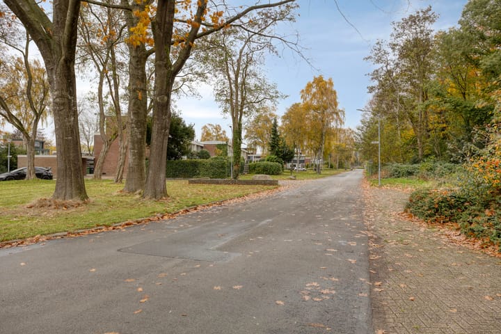 Foto 59 van Laan van de Iemenhees 574