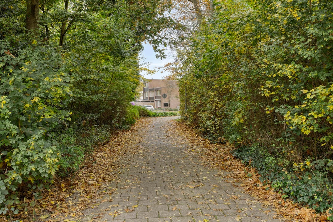 Foto 62 van Laan van de Iemenhees 574