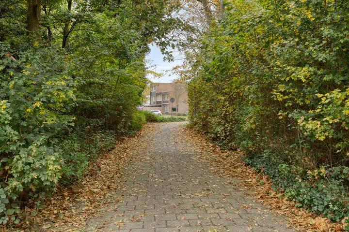 Foto 62 van Laan van de Iemenhees 574