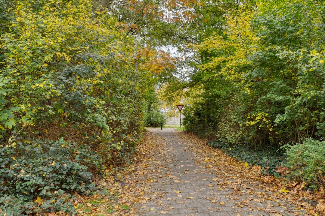 Foto 61 van Laan van de Iemenhees 574