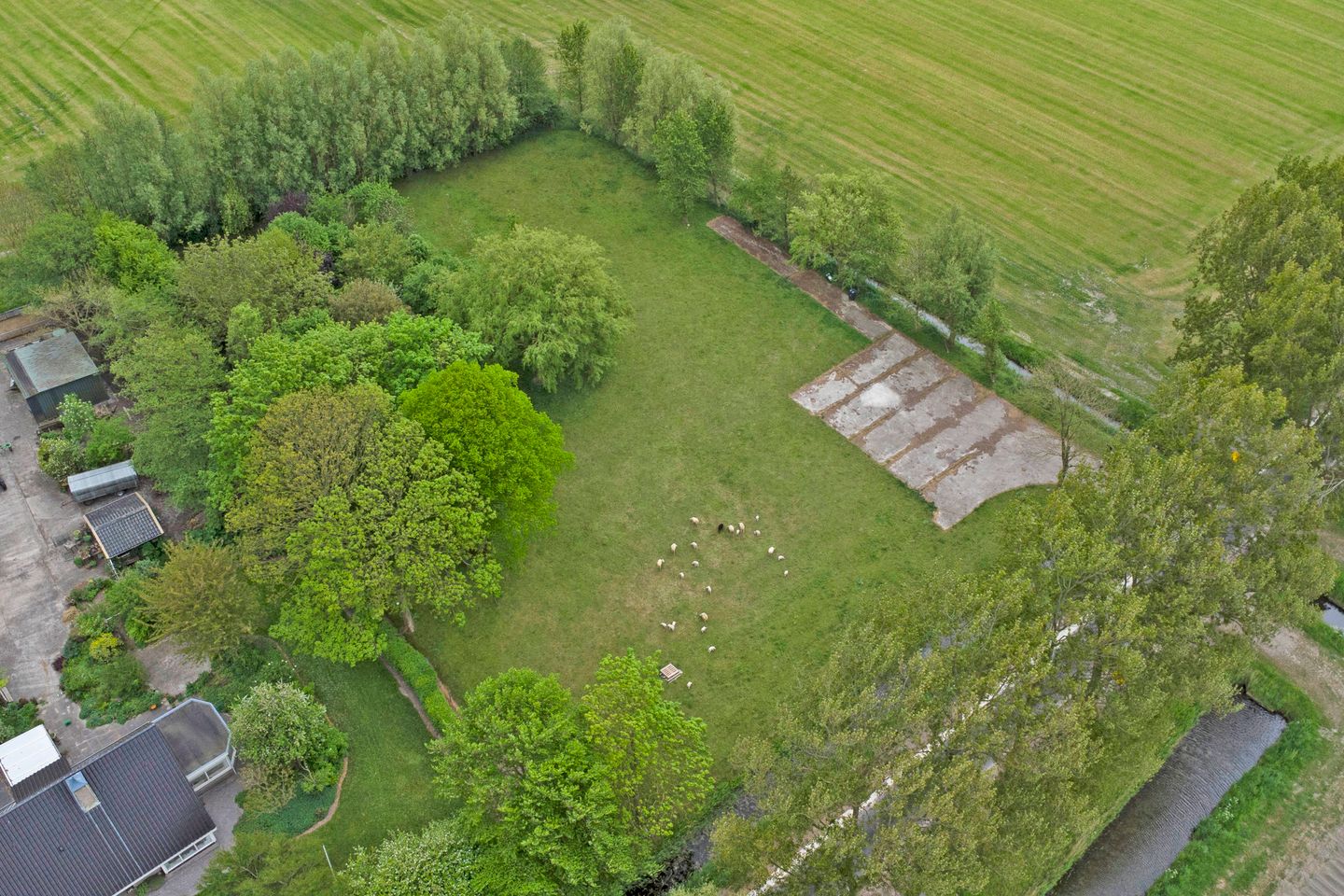 Foto 5 van Hege Hearewei 6