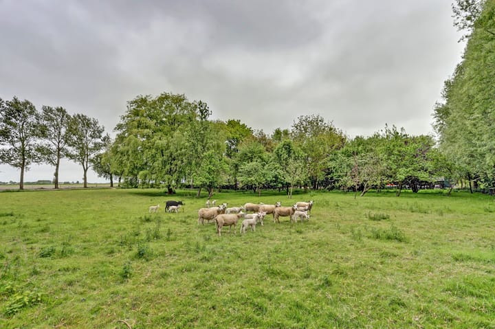 Photo 6 of Hege Hearewei 6