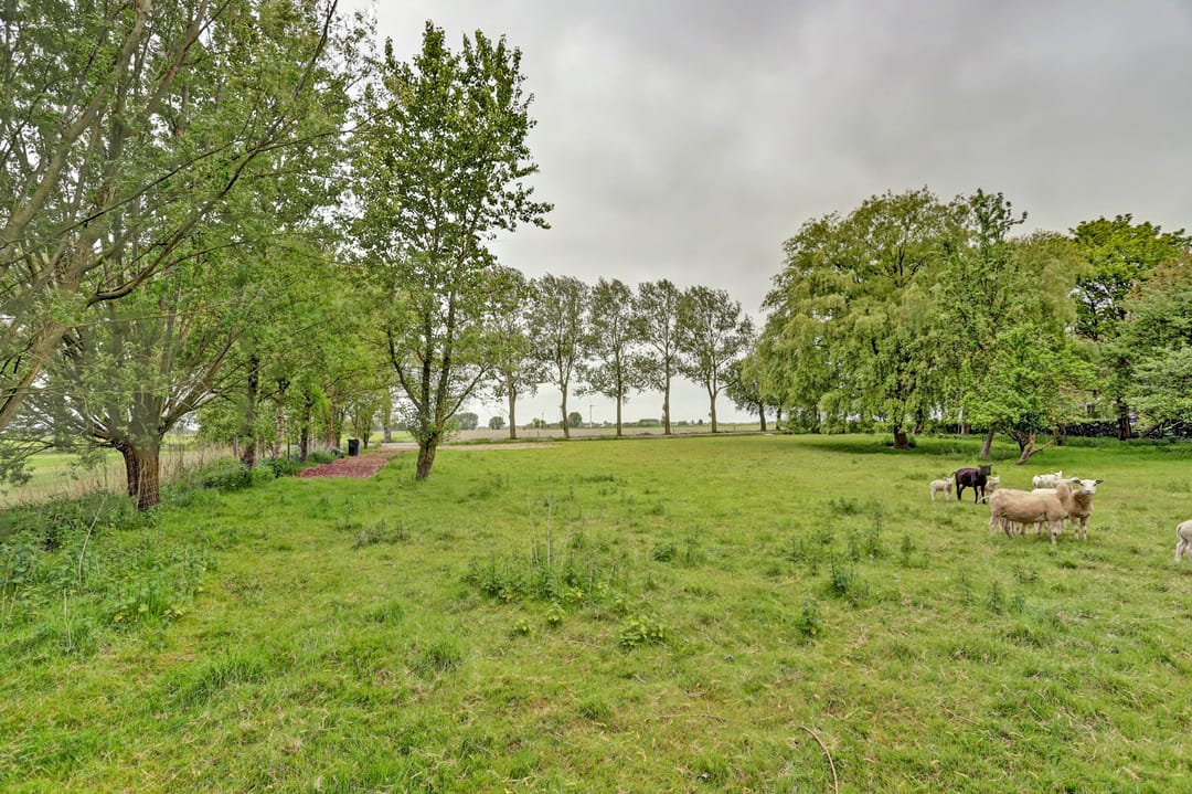 Foto 7 van Hege Hearewei 6