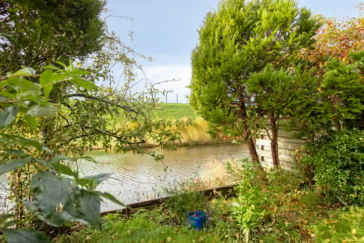 Foto 20 van Albert John Luthulistraat 94