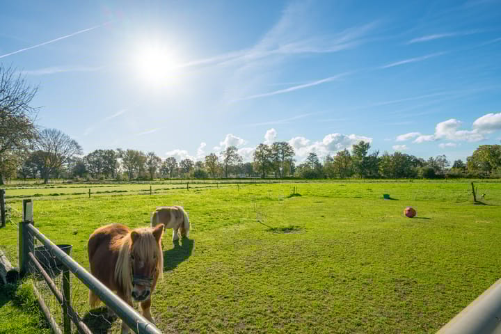 Foto 40 van Molenweg 35