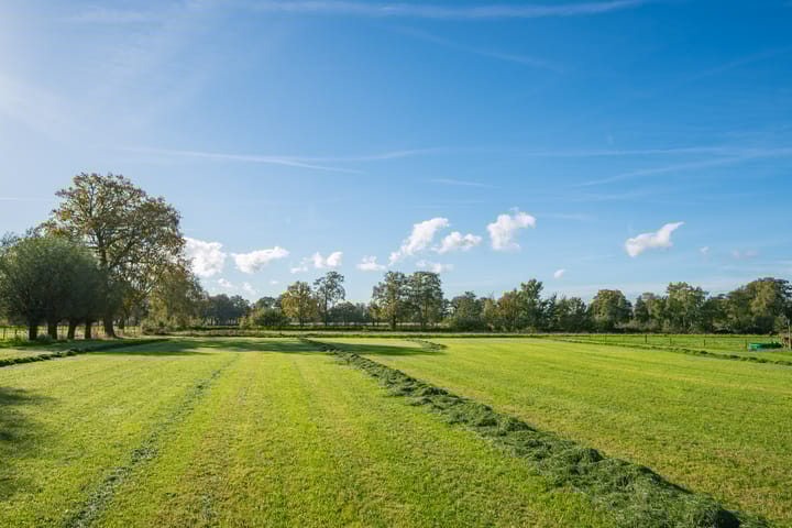 Foto 41 van Molenweg 35