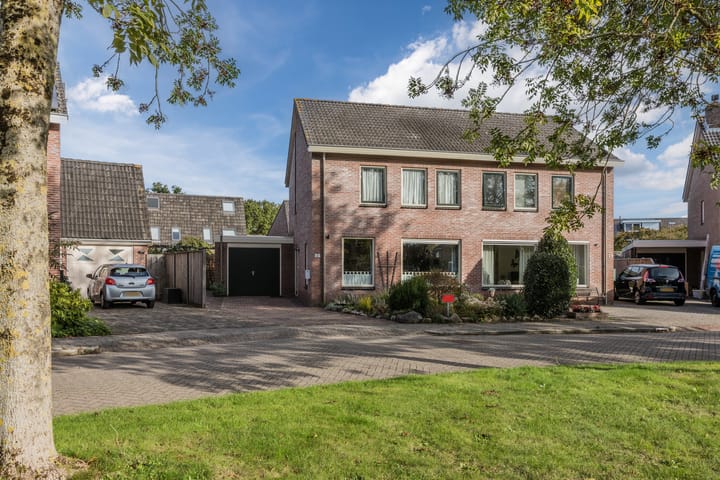 Foto 2 van Hoefblad 32