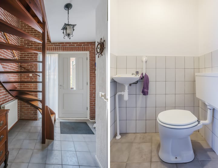 Foto 6 van Hoefblad 32