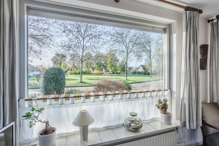 Foto 9 van Hoefblad 32