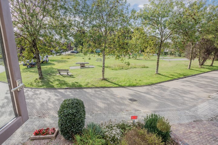 Foto 47 van Hoefblad 32