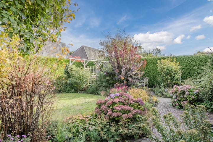 Foto 48 van Hoefblad 32