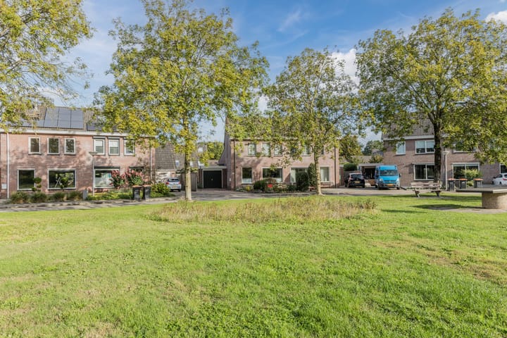 Foto 50 van Hoefblad 32