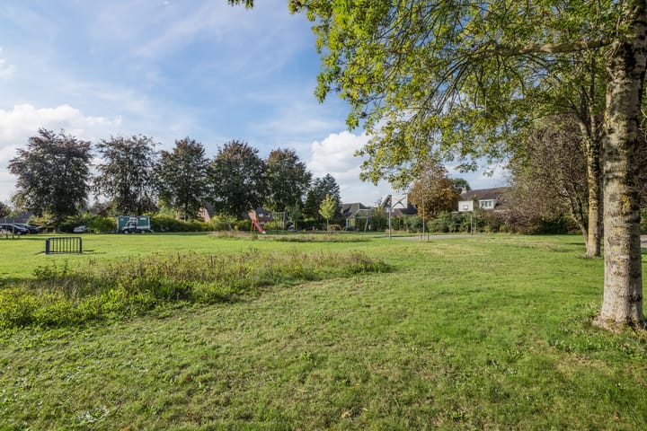 Foto 53 van Hoefblad 32