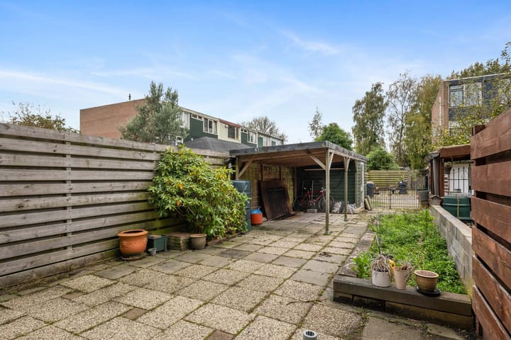 Photo 30 of Dollard 11