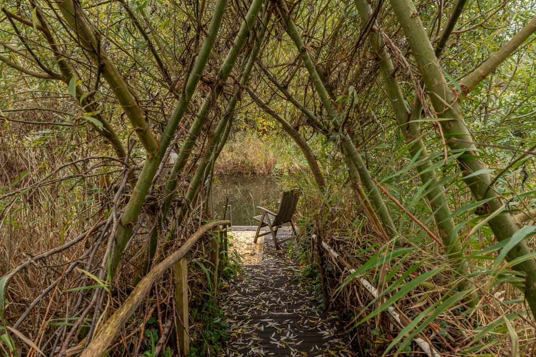 Foto 23 van Wessel Gansfortstraat 46