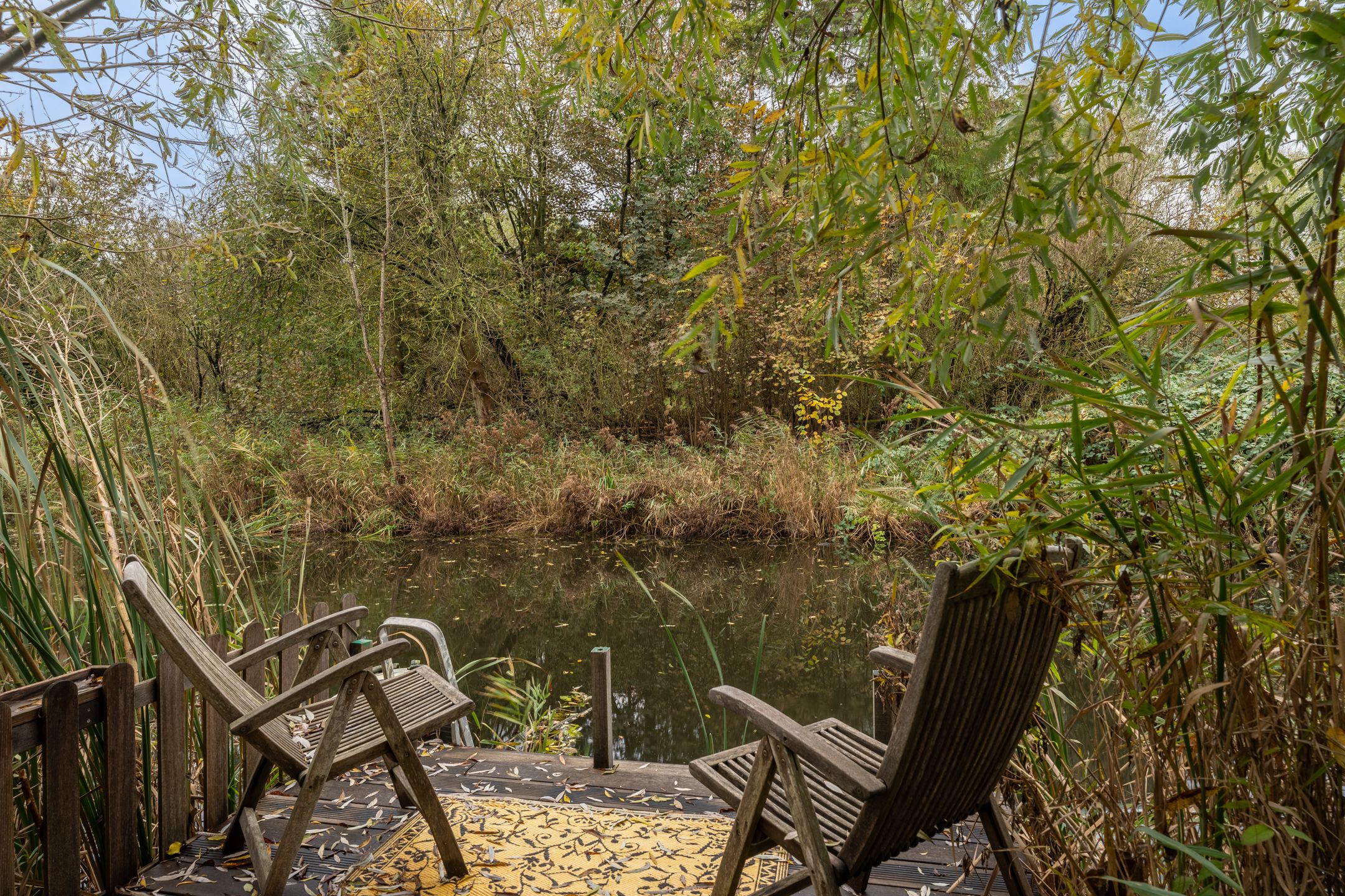 Foto 24 van Wessel Gansfortstraat 46