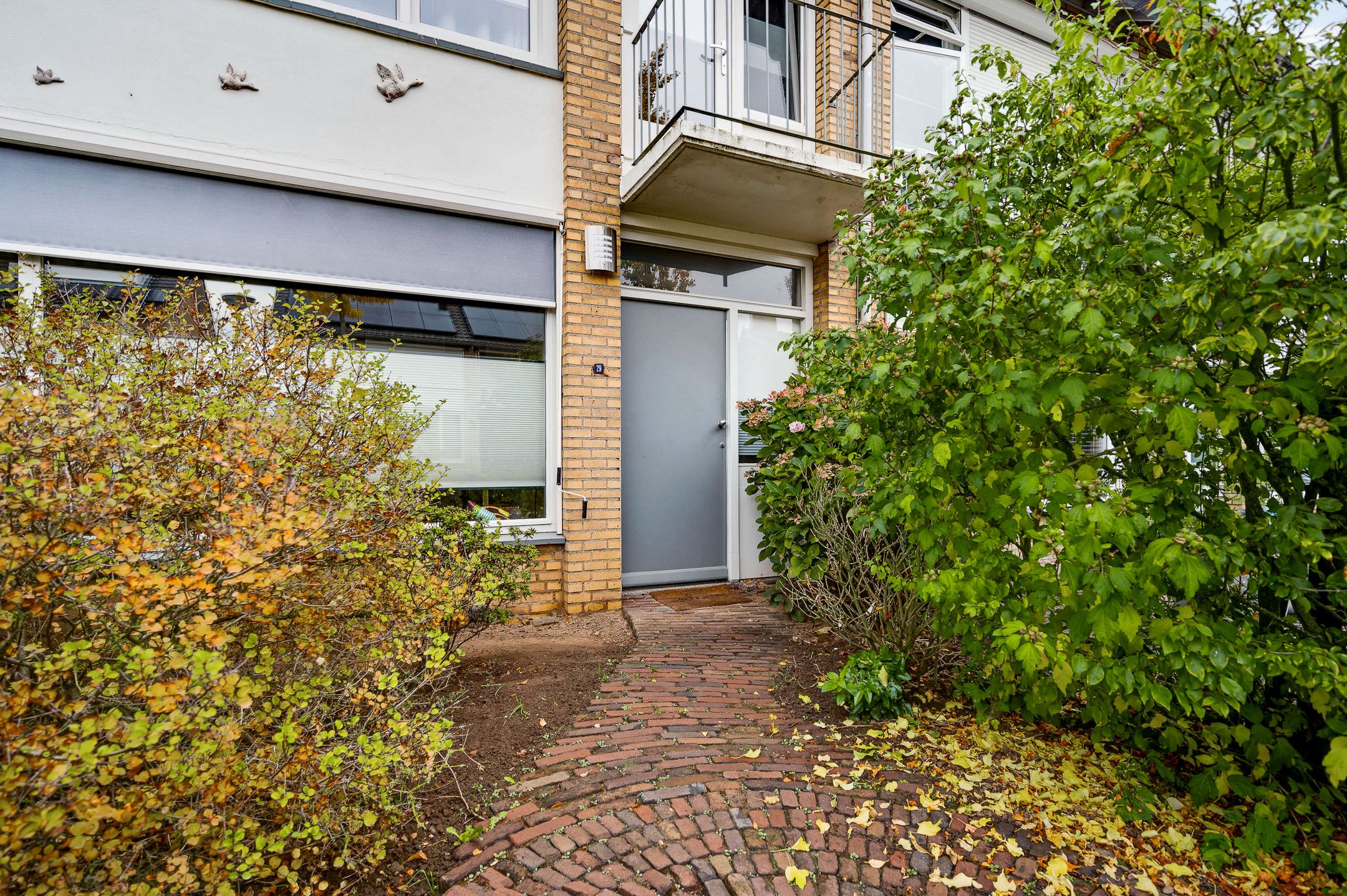 Photo 3 of Pastoor Drehmannsstraat 29