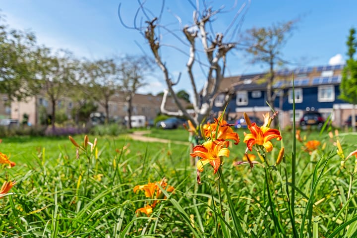 Foto 51 van Houtrib 66