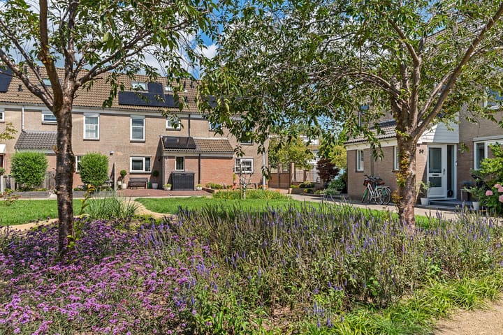 Foto 52 van Houtrib 66