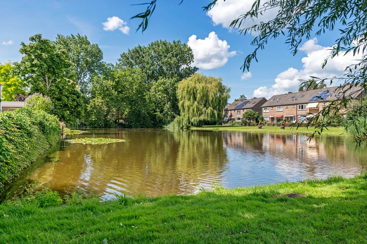 Foto 53 van Houtrib 66