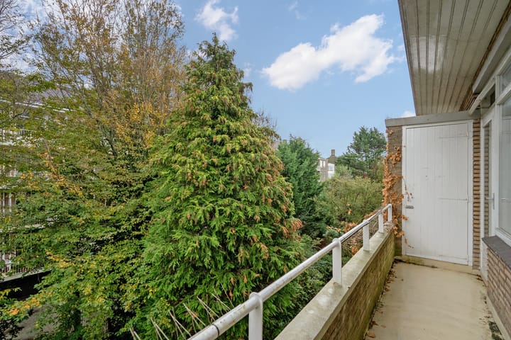 Foto 22 van Mankesstraat 145