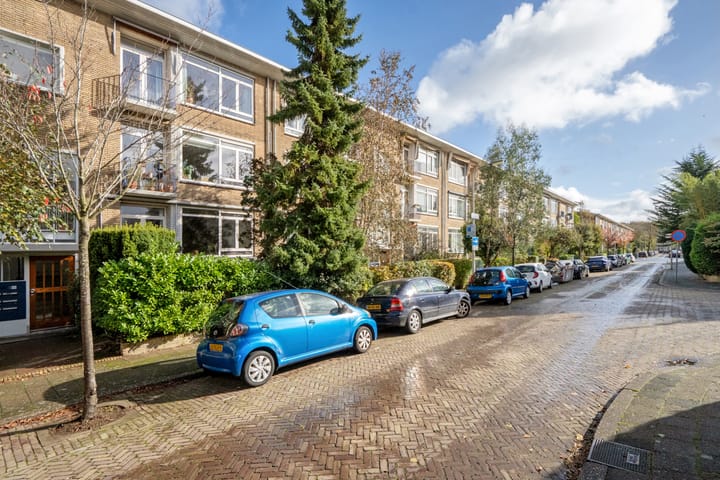 Foto 24 van Mankesstraat 145