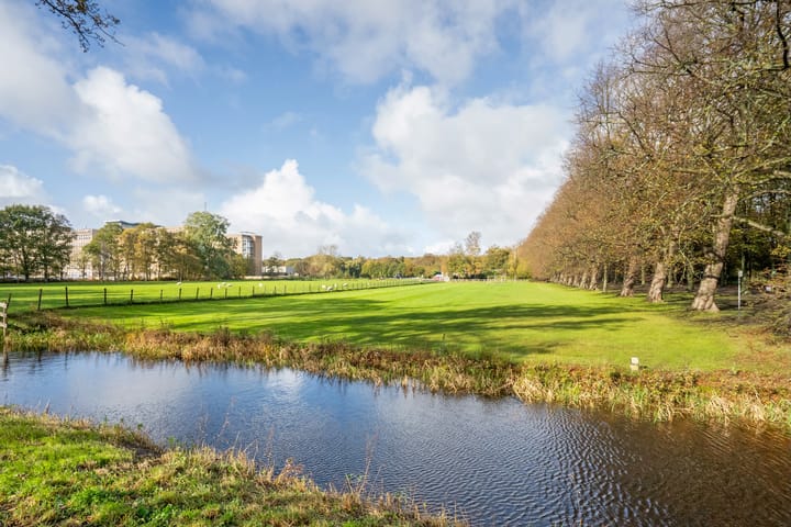 Foto 25 van Mankesstraat 145