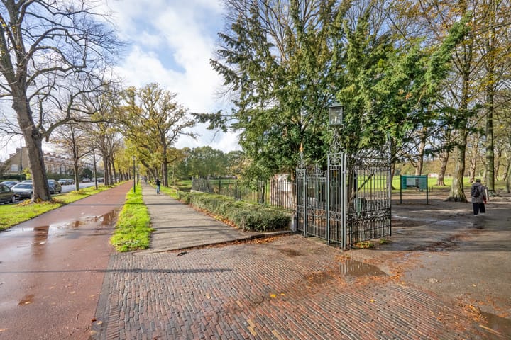 Foto 26 van Mankesstraat 145