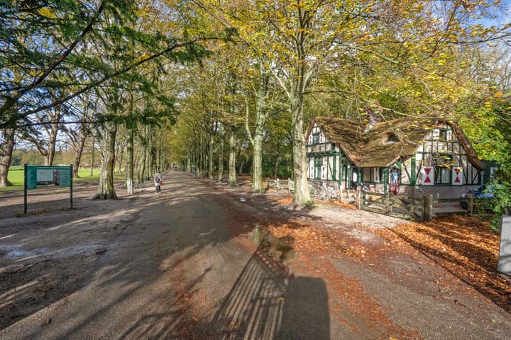 Foto 27 van Mankesstraat 145