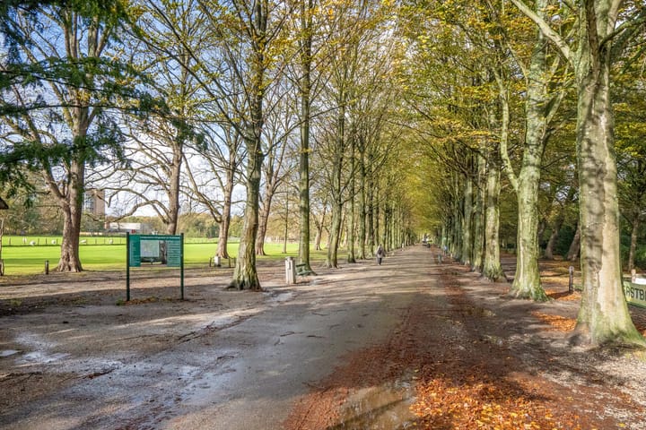 Foto 28 van Mankesstraat 145