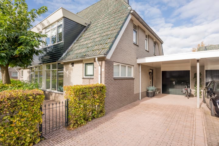 Photo 2 of Boterbloem 5