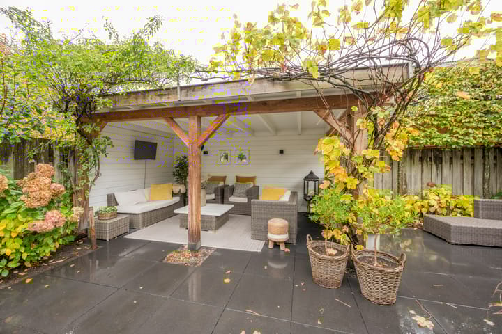 Photo 3 of Boterbloem 5