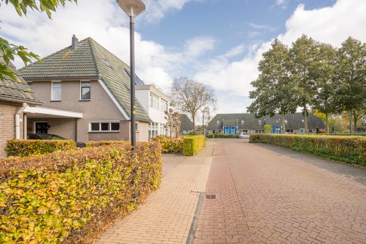 Photo 5 of Boterbloem 5