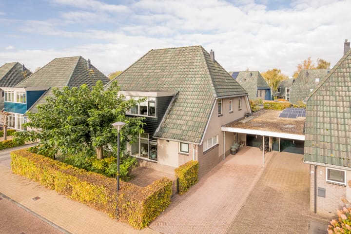 Photo 7 of Boterbloem 5