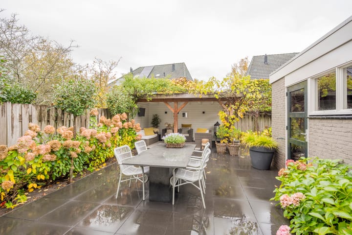 Photo 10 of Boterbloem 5