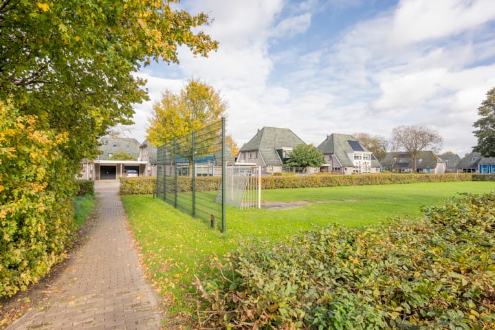 Photo 44 of Boterbloem 5