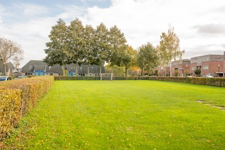 Photo 45 of Boterbloem 5