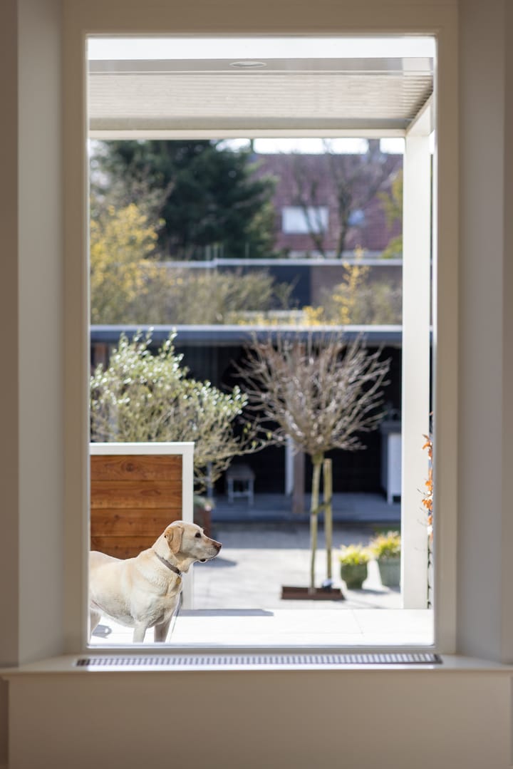 Foto 12 van 's-Gravenweg 325