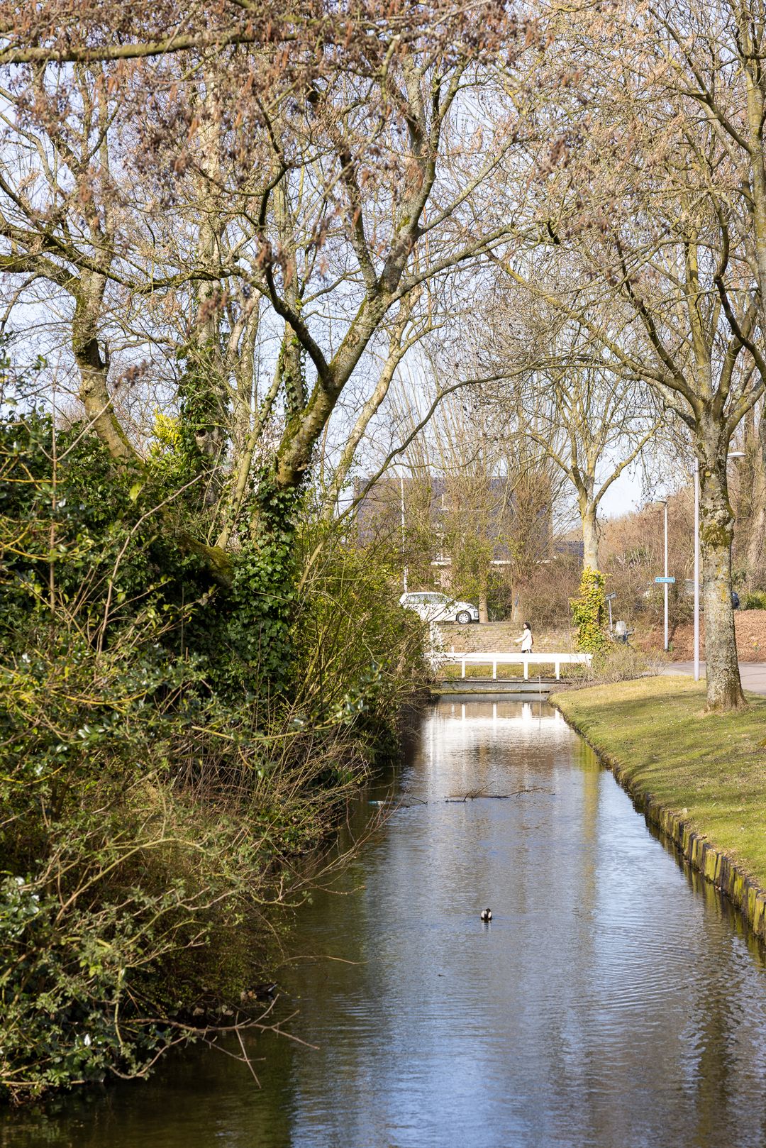Photo 67 of 's-Gravenweg 325