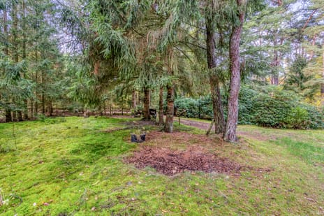 Bospad 2 tertiary image