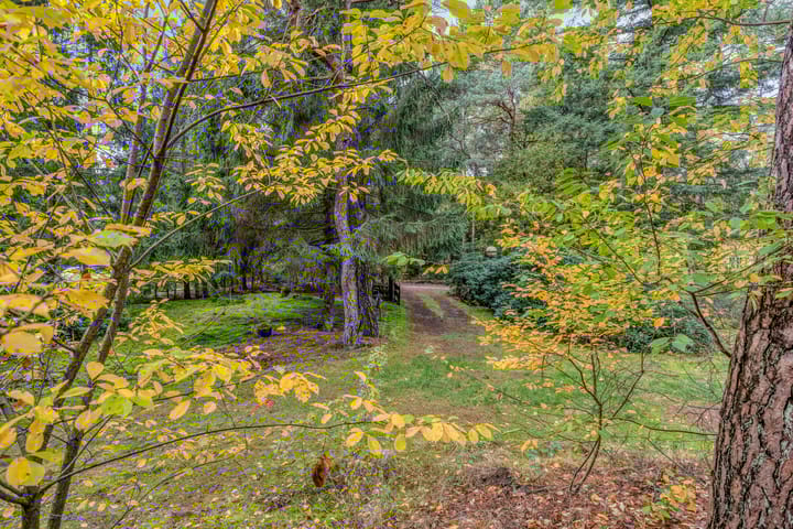 Foto 10 van Bospad 2