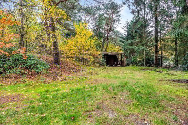 Foto 11 van Bospad 2